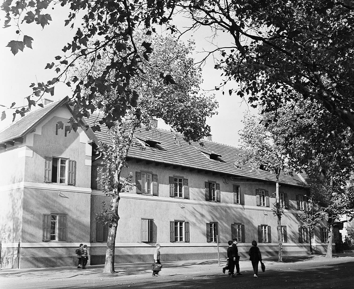06-large-slide