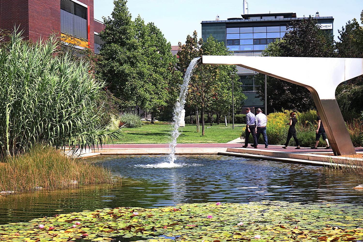 11-large-slide