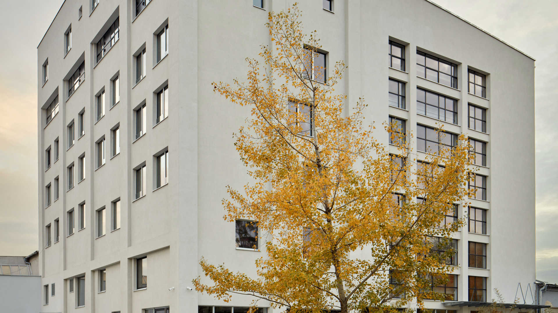 Mlynica (Mill) Bratislava